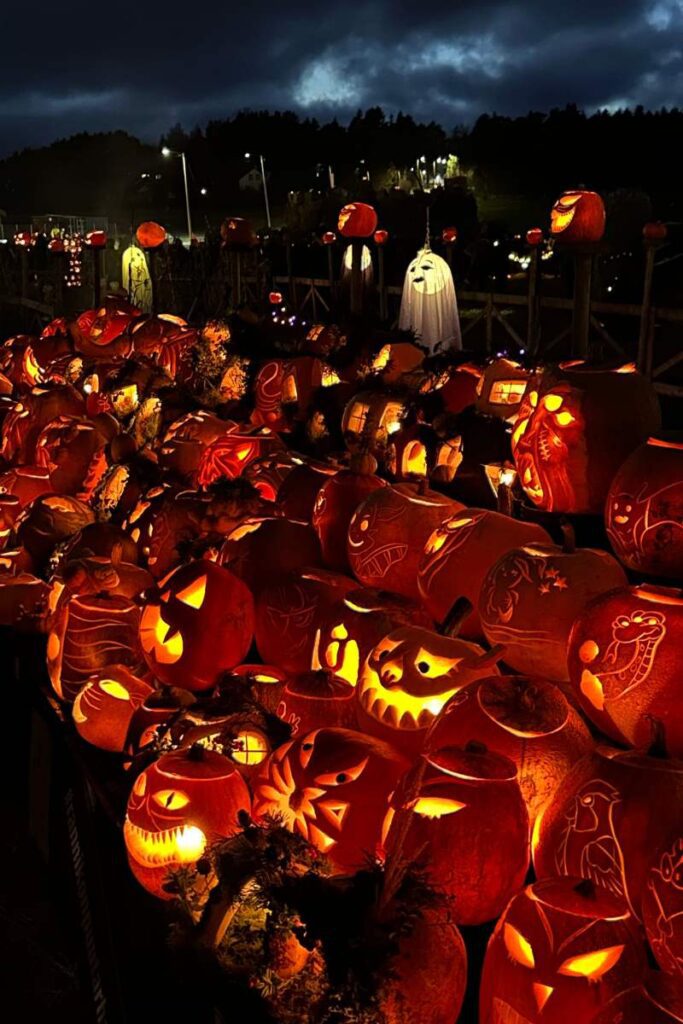 fall bucket list for adults