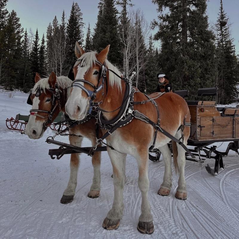 aesthetic winter date ideas