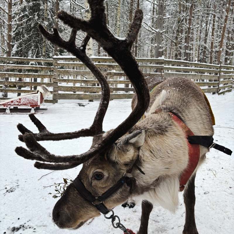 winter time date ideas