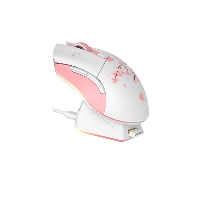 desk accessories for office