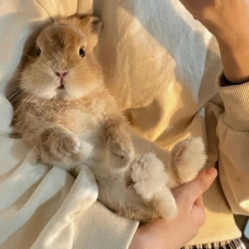 fun bucket list ideas