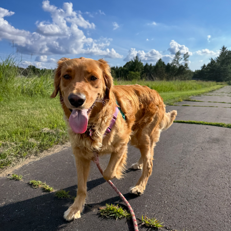 life bucket list ideas