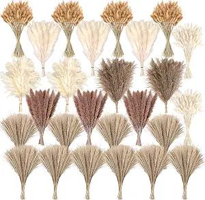 Pampas