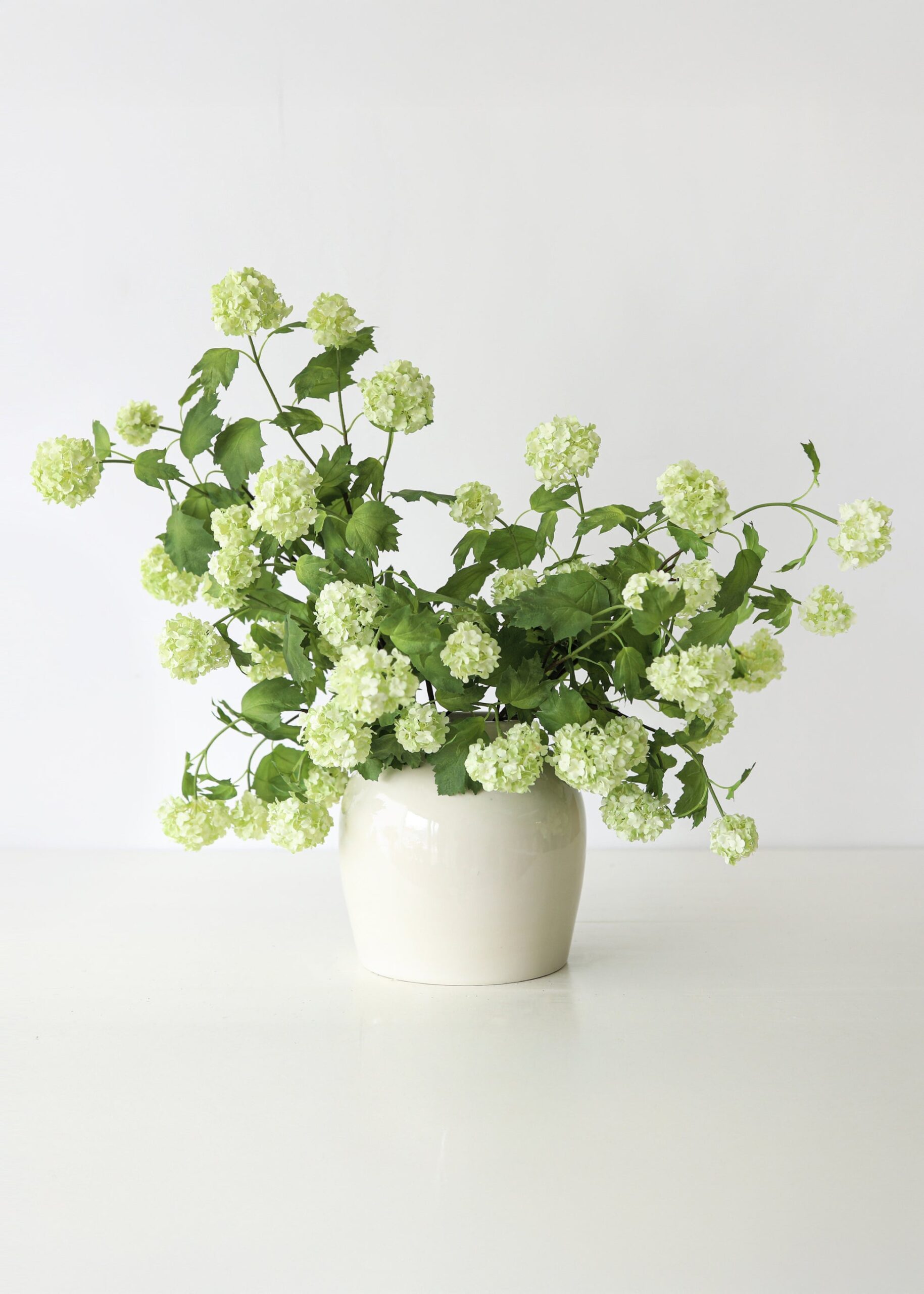 Snowball Flowers