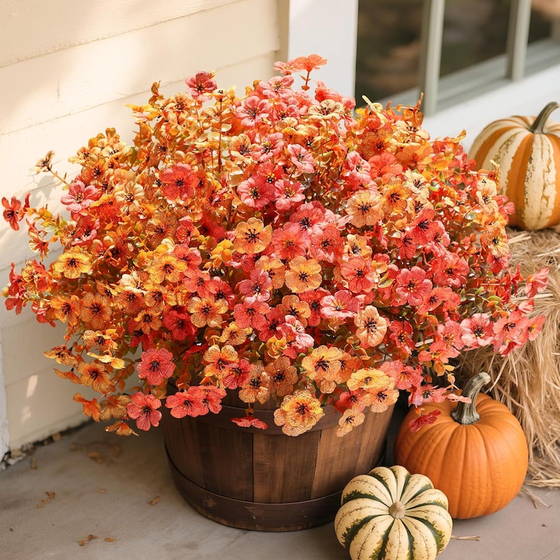 Fall Mums