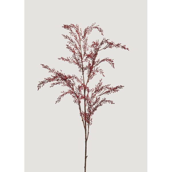 Berry Branch