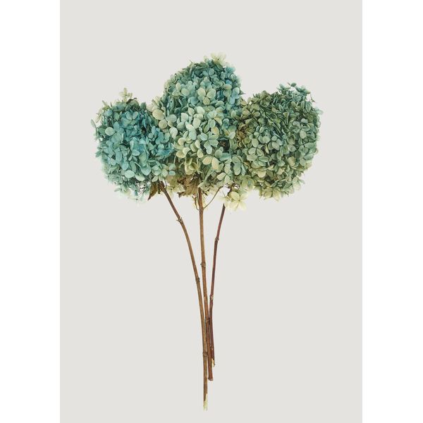 Preserved Flower Bundle