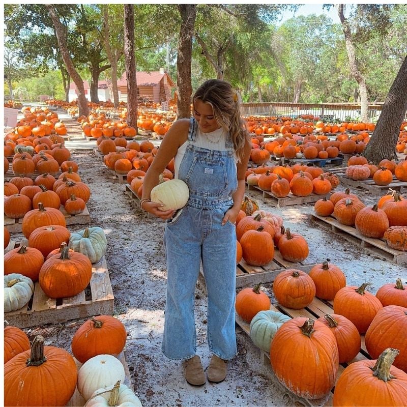what to wear to a pumpkin patch when it’s cold