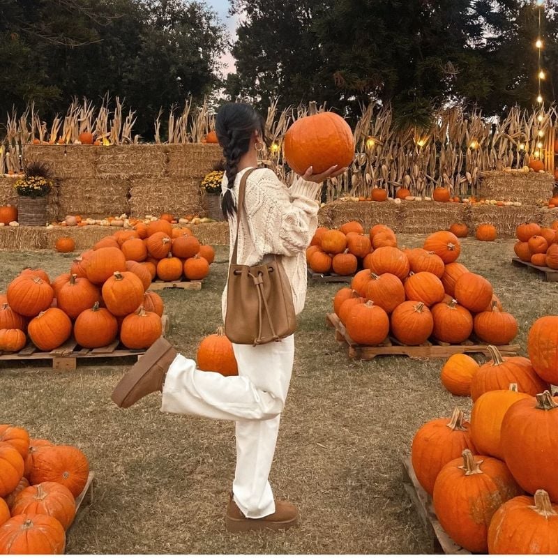matching pumpkin patch outfits
