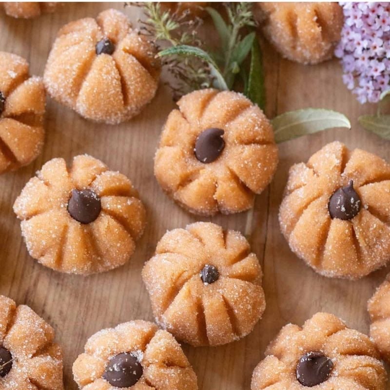 pumpkin chesecake recipe