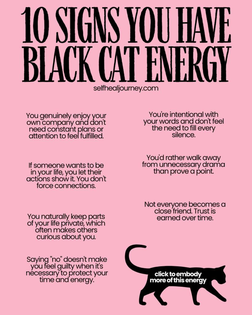 signs you have black cat energy