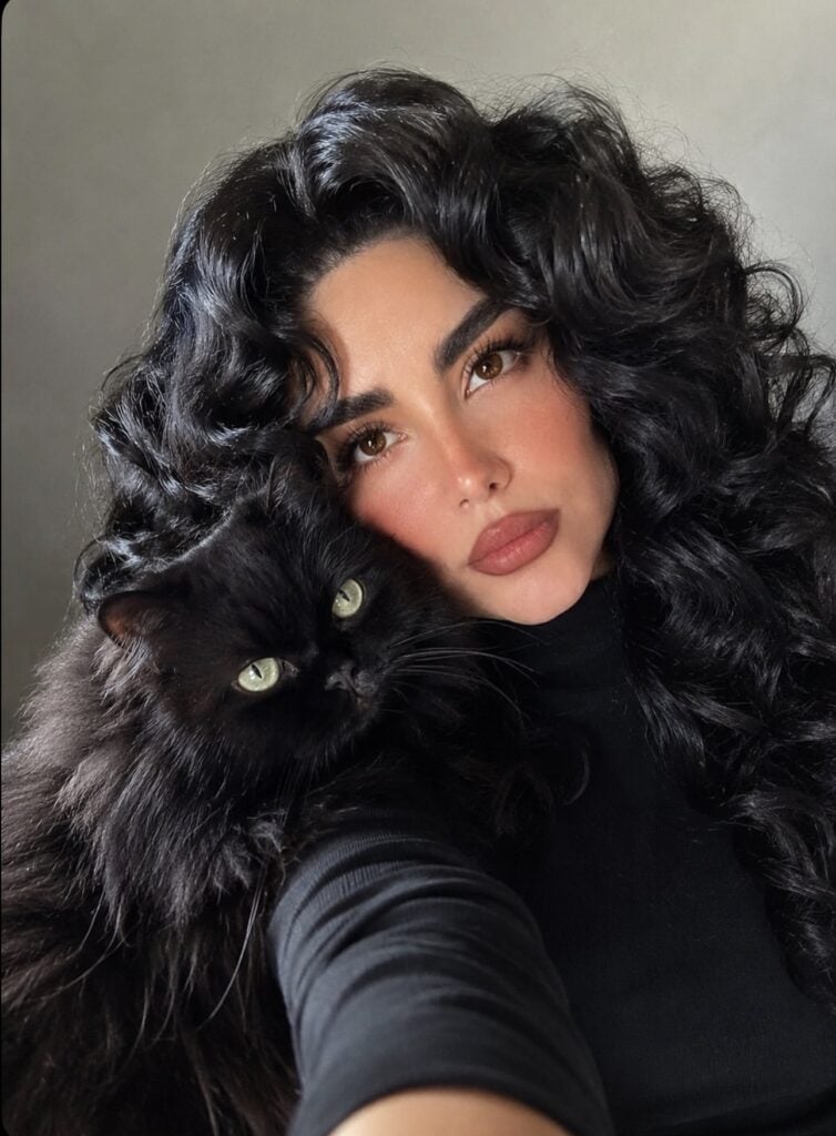 black cat energy