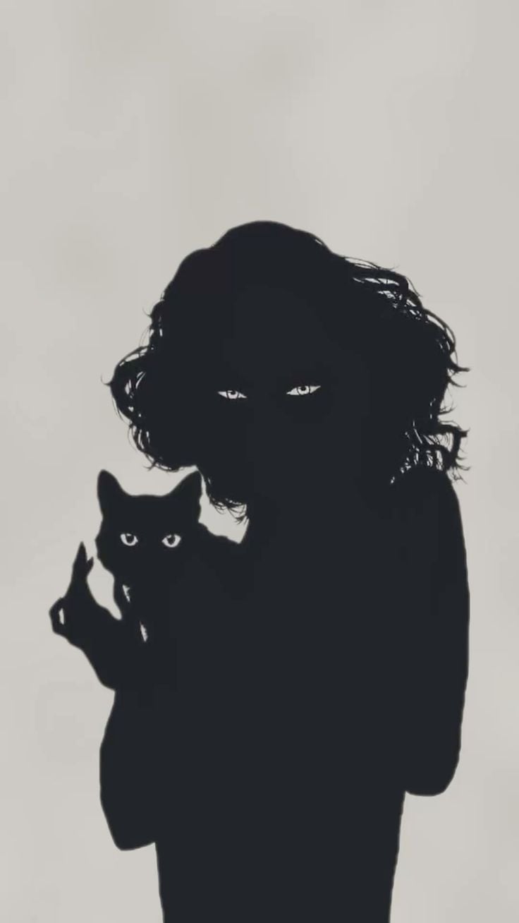 energy black cat