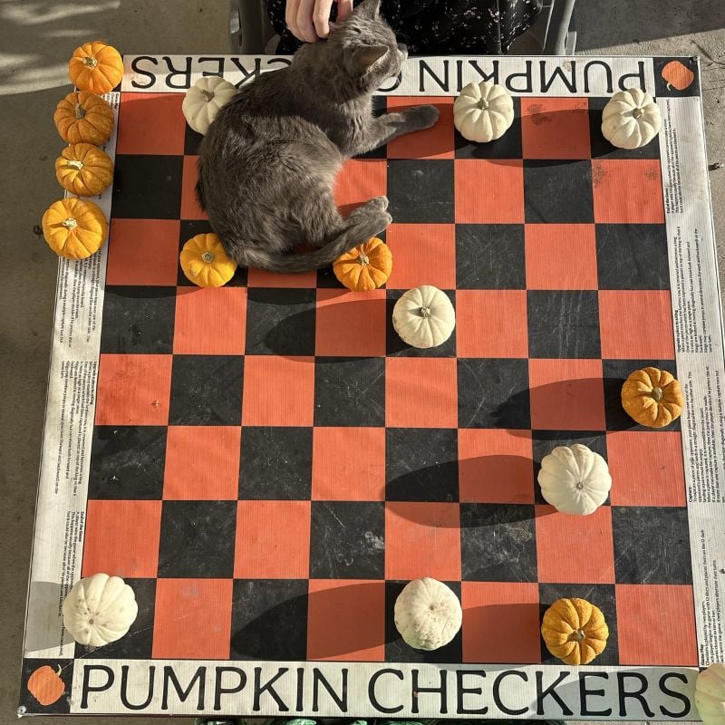 fun fall activities